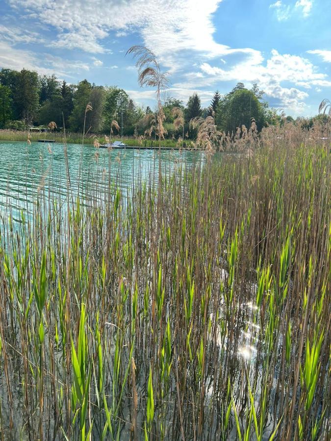 Ferienwohnung Am Mattsee Guggenberg  外观 照片